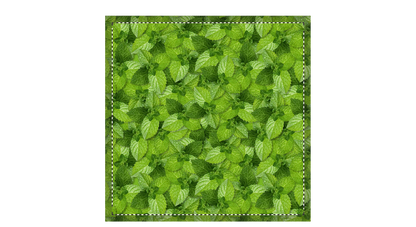 CUSHION model Q001 - 10969X